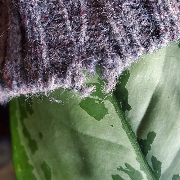 PDX Sportswear wool-blend cardigan - Picture 4 of 6